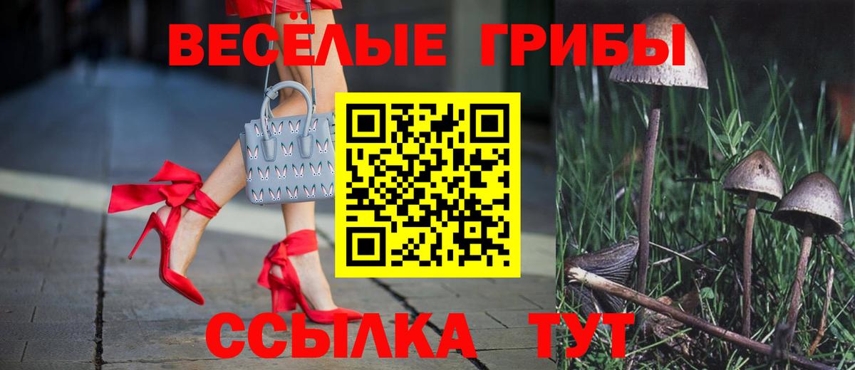 Псилоцибиновые грибы GOLDEN TEACHER Сегежа