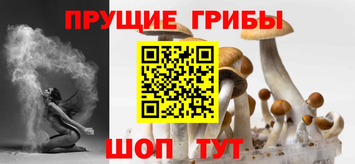 Сегежа  Псилоцибиновые грибы мицелий  Вход с VPN 